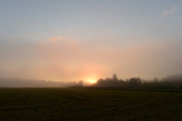 Naklejka na ściany i meble Sunrise sun in the morning mist over the mown field beyond the forest