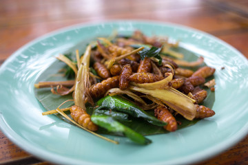 Deep fried silkworm larvae with kaffir lime leaves - traditional Laos cuisine dish. Served in blue plate closeup.