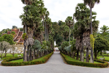 Obraz premium Luang Prabang, Laos – December 14, 2018: Palm trees in Royal Palace complex in Luang Prabang, former capital of Laos and now a UNESCO World Heritage city.