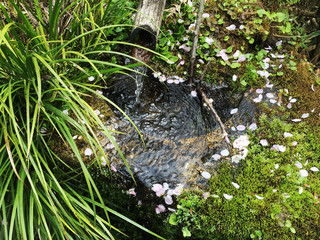 Waterscape_016