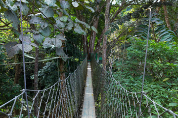 Hanging bridge over tropical jungle forest river near Luang Prabang - former capital of Laos, UNESCO site, now booming asian tourist destination