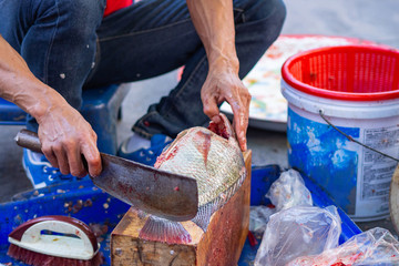 Worker is cutting tilapia fish in local market.