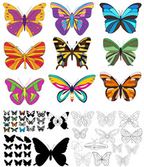 Fototapeta na wymiar isolated, butterflies in a set