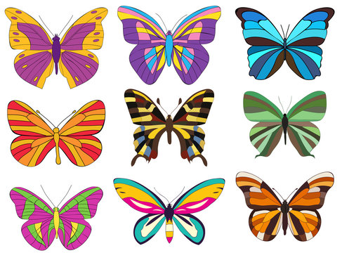 butterflies in a set