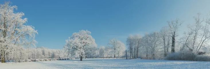 Winterlandschaft im Park mit Schnee - Einzelner Baum in einer Schneelandschaft Panorama © ExQuisine