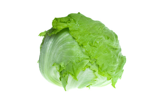 Macro shot of green Iceberg lettuce isolated on white Background