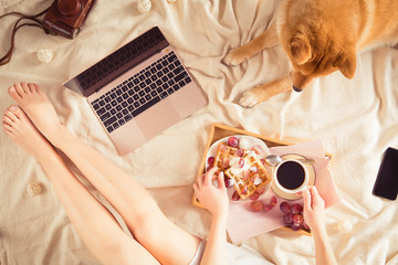Arial view of fashion workplace with woman in dress, pink air laptop, coffee cup, waffles with fruit and cute dog. Flat lay, top view. Lifestyle flatlay concept