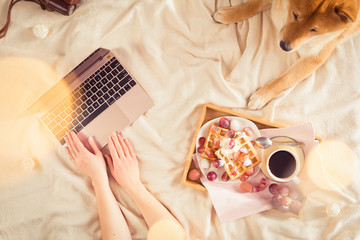 Fototapety na wymiar - Fototapeta24.pl