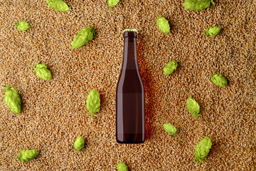 Beer glass bottlle template on wheat and single hop cones with  translucent label