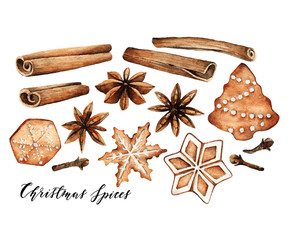 Watercolor illustration. Different elements for Christmas design,spice,gingerbread