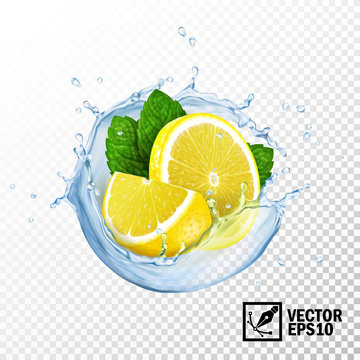 3d realistic isolated vector slices lemon and fresh mint leaves in a splash of water or tea with drops