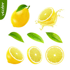 3d realistic vector set of elements (whole lemon with leaf , sliced lemon, splash lemon juice, leaves) editable handmade mesh - obrazy, fototapety, plakaty