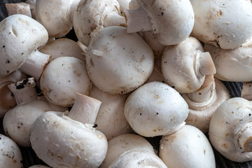 Gros champignons de Paris - Agaricus bisporus - en vrac	