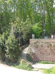 ver con perspectiva nos ayuda a ver nuestro lugar en el juego