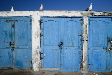 Seagulls above old outside blue doors at Essaouira fish market on the harbor
