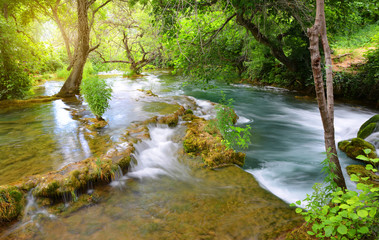 River in Krka National Park, Dalmatia Croatia, Europe. Beautiful landscape in spring forest.