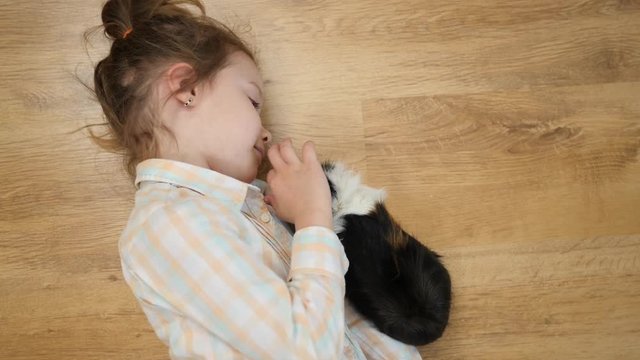 Top view child little girl plays strokes guinea pig pet lying on the floor