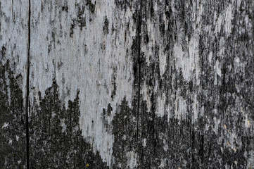 texture old gray plywood