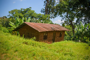 Fototapeta na wymiar old wooden house in the Africa forest