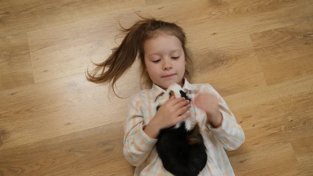 Top view child little girl plays strokes guinea pig pet lying on the floor
