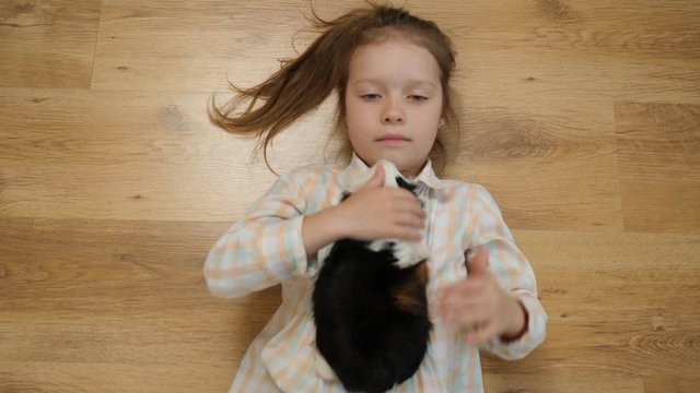 Top view child little girl plays strokes guinea pig pet lying on the floor