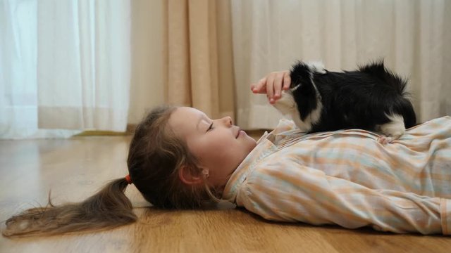 Home animal child little girl plays with guinea pig pet lying on the floor