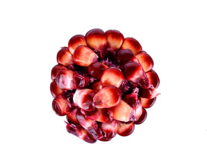 red corn on a white background