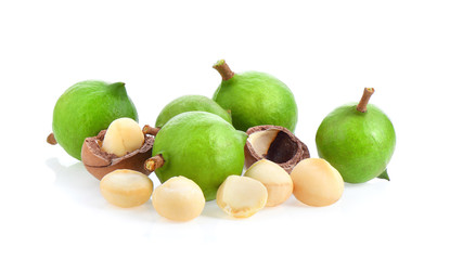 macadamia nuts with leaf isolated on white background.