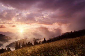 Foggy morning landscape