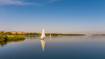 Felukas on the river NIle, sailing in the wind