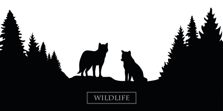 wildlife wolf silhouette forest landscape black and white vector illustration EPS10
