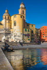 Lo sperone di Camogli