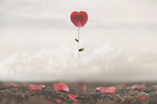 romantic flower flies in the sky, conceptual and surreal image of love