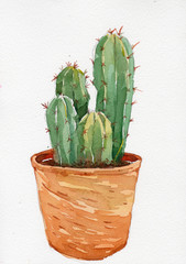 cactus in pot watercolor