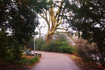 Geheimnis voller Weg