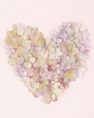 Obraz premium Flowers of a hydrangea in the form of a heart on the pink background