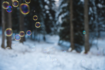 rainbow colored soap bubbles suspended in the air with a snowy forest in the background