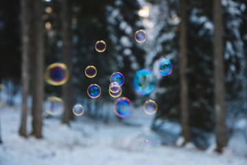 rainbow colored soap bubbles suspended in the air with a snowy forest in the background
