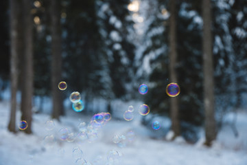 rainbow colored soap bubbles suspended in the air with a snowy forest in the background