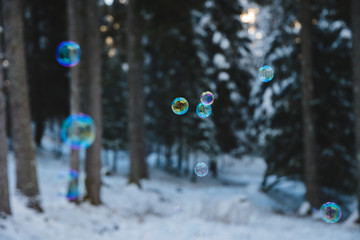 rainbow colored soap bubbles suspended in the air with a snowy forest in the background