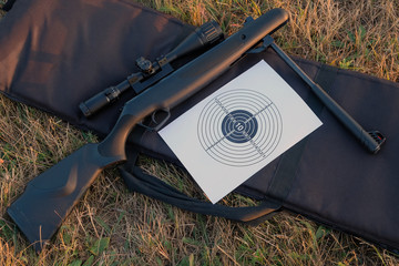 airgun and target