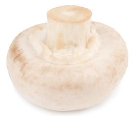  champignon mushrooms isolated on white background, with clipping path