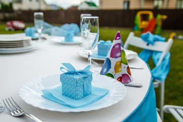 Decorating the holiday table in blue