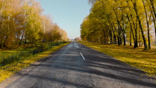AERIAL. on the road in action, Driving. bright golden leaves, yellow trees, sunny autumn day, travel concept