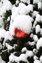 Tree branches covered with lot of snow on frosty winter day. Decorating red Christmas bowls covered with snow