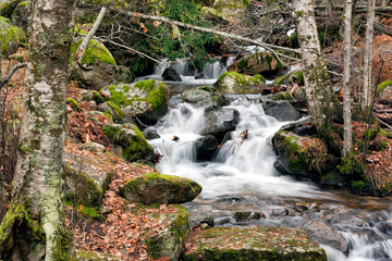 Arroyo del Sesil en la Sierra de Guadarrama. Canencia. . Madrid. España. Europa.