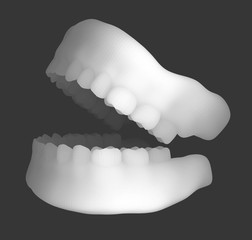 human jaw. 3d vector layout. medicine and health