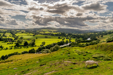 a valley with storm clouds and sheep in the fields. 