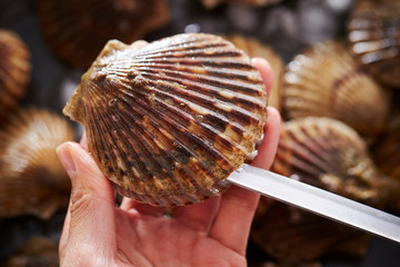 Opening scallop with knife 