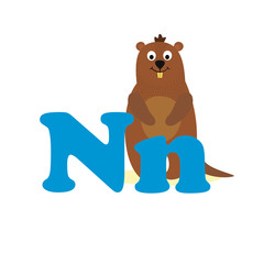 Alphabet for children, letter N, nutria, vector illustration.